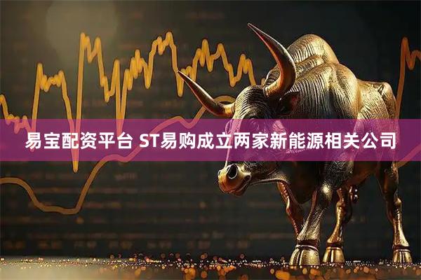 易宝配资平台 ST易购成立两家新能源相关公司